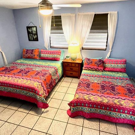 Esperanza Inn Guesthouse (Adults Only) ビエケス 部屋 写真