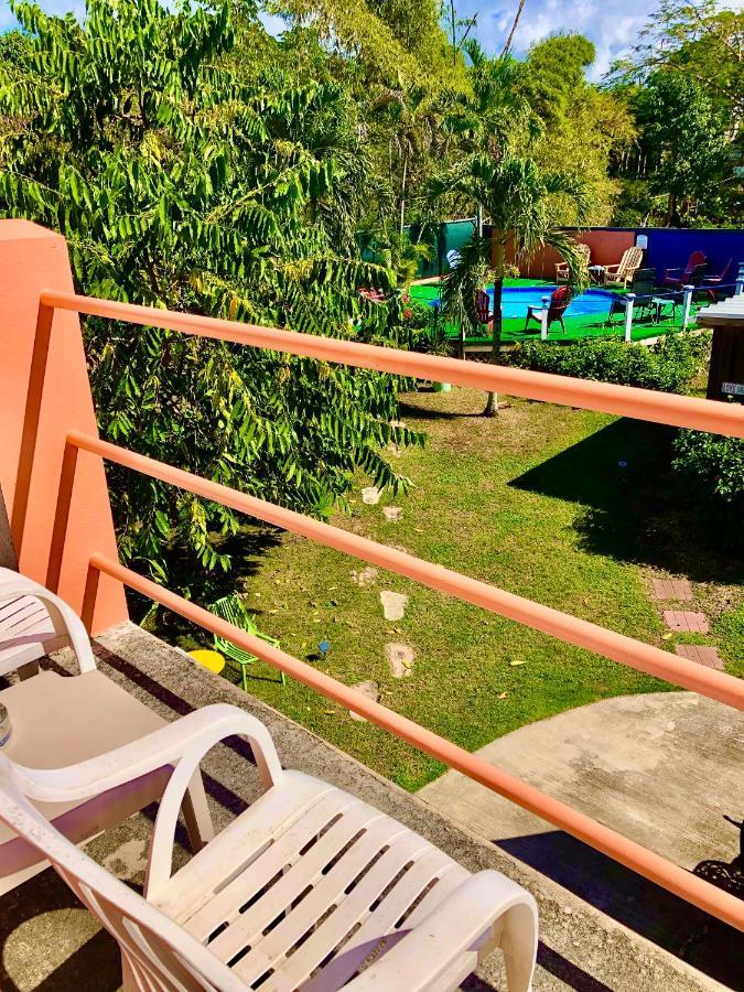Esperanza Inn Guesthouse (Adults Only) ビエケス エクステリア 写真