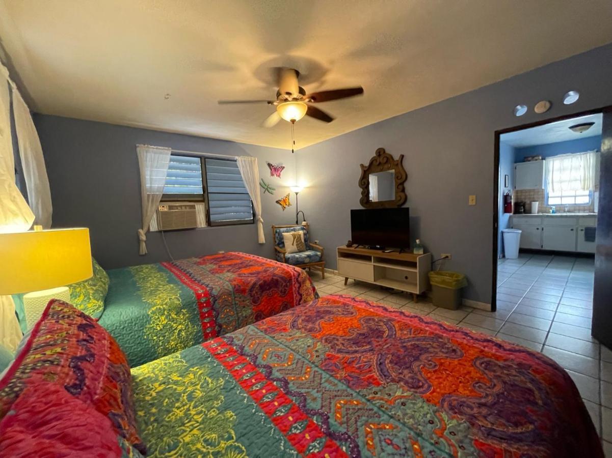 Esperanza Inn Guesthouse (Adults Only) ビエケス 部屋 写真