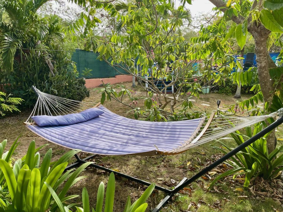 Esperanza Inn Guesthouse (Adults Only) ビエケス エクステリア 写真
