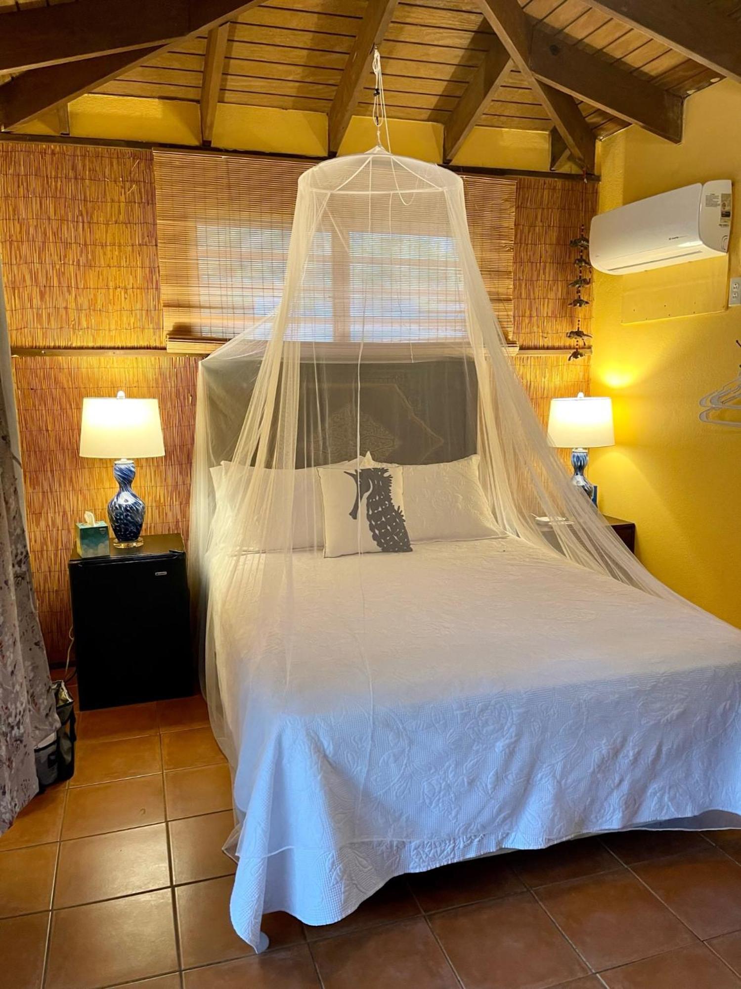 Esperanza Inn Guesthouse (Adults Only) ビエケス 部屋 写真