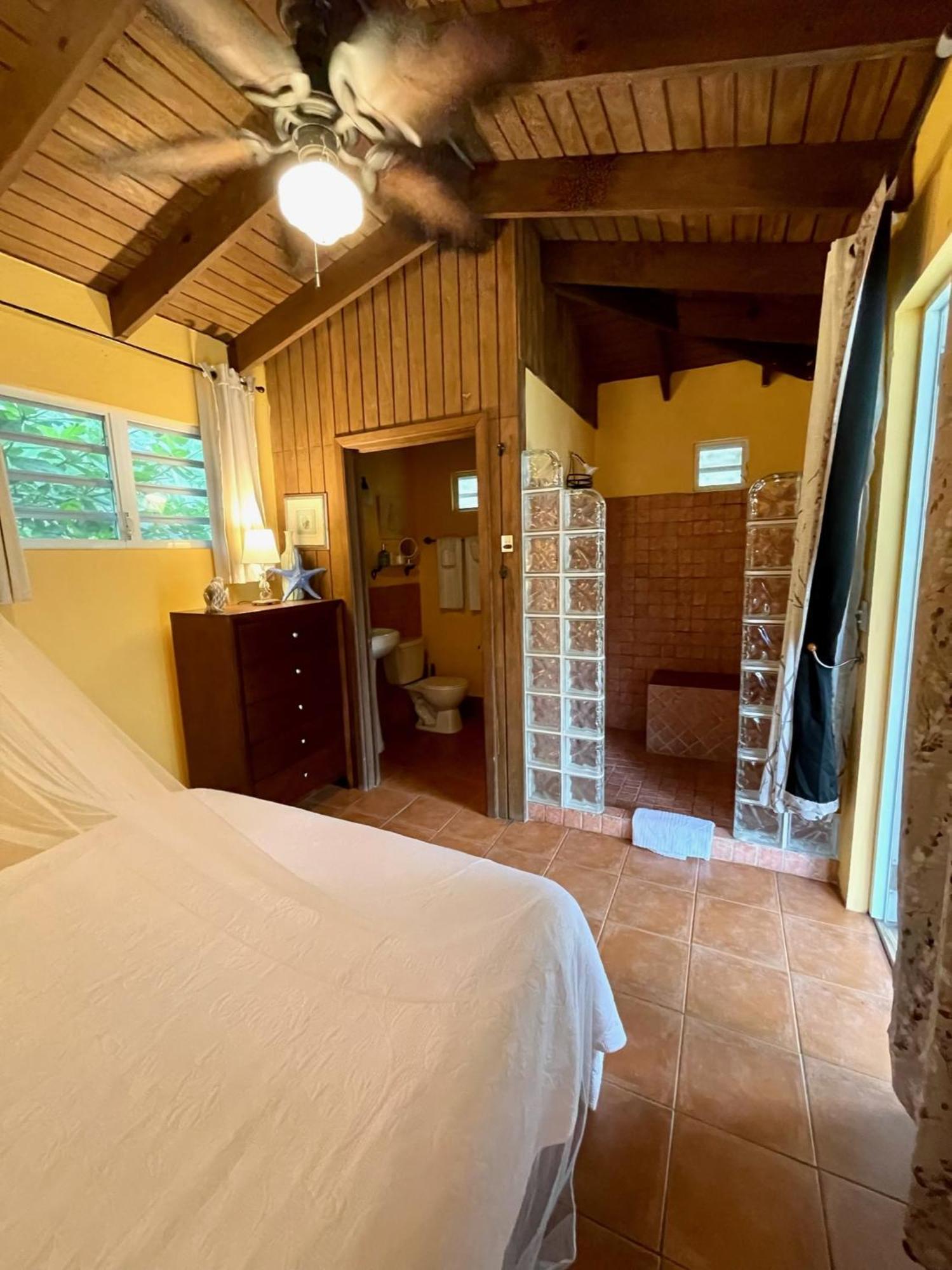 Esperanza Inn Guesthouse (Adults Only) ビエケス 部屋 写真
