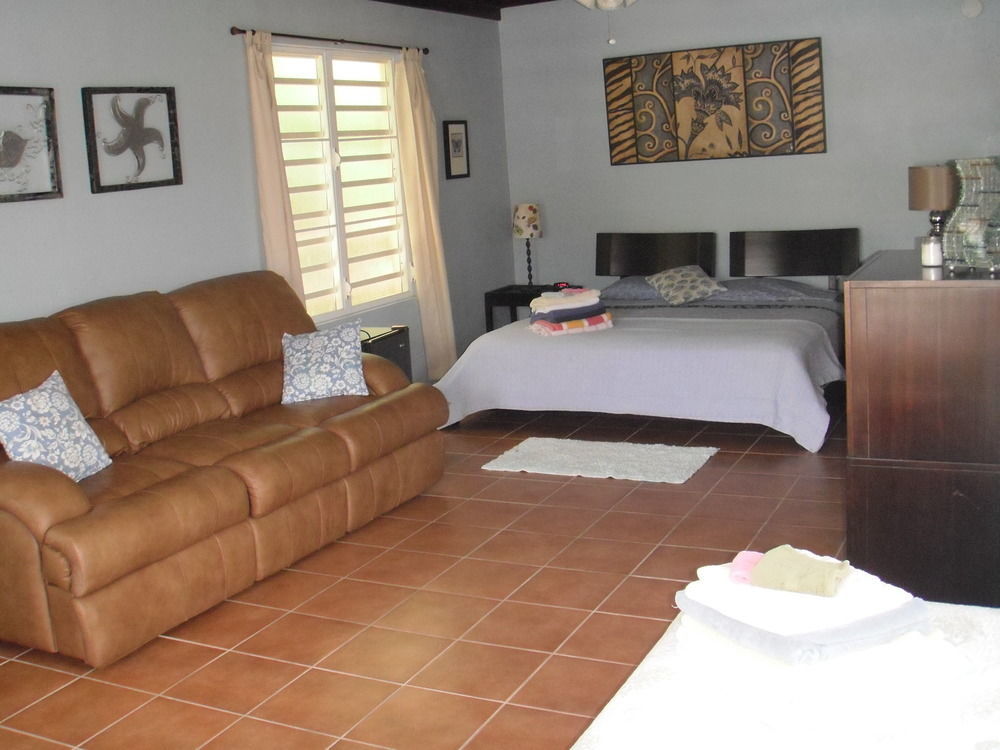 Esperanza Inn Guesthouse (Adults Only) ビエケス エクステリア 写真